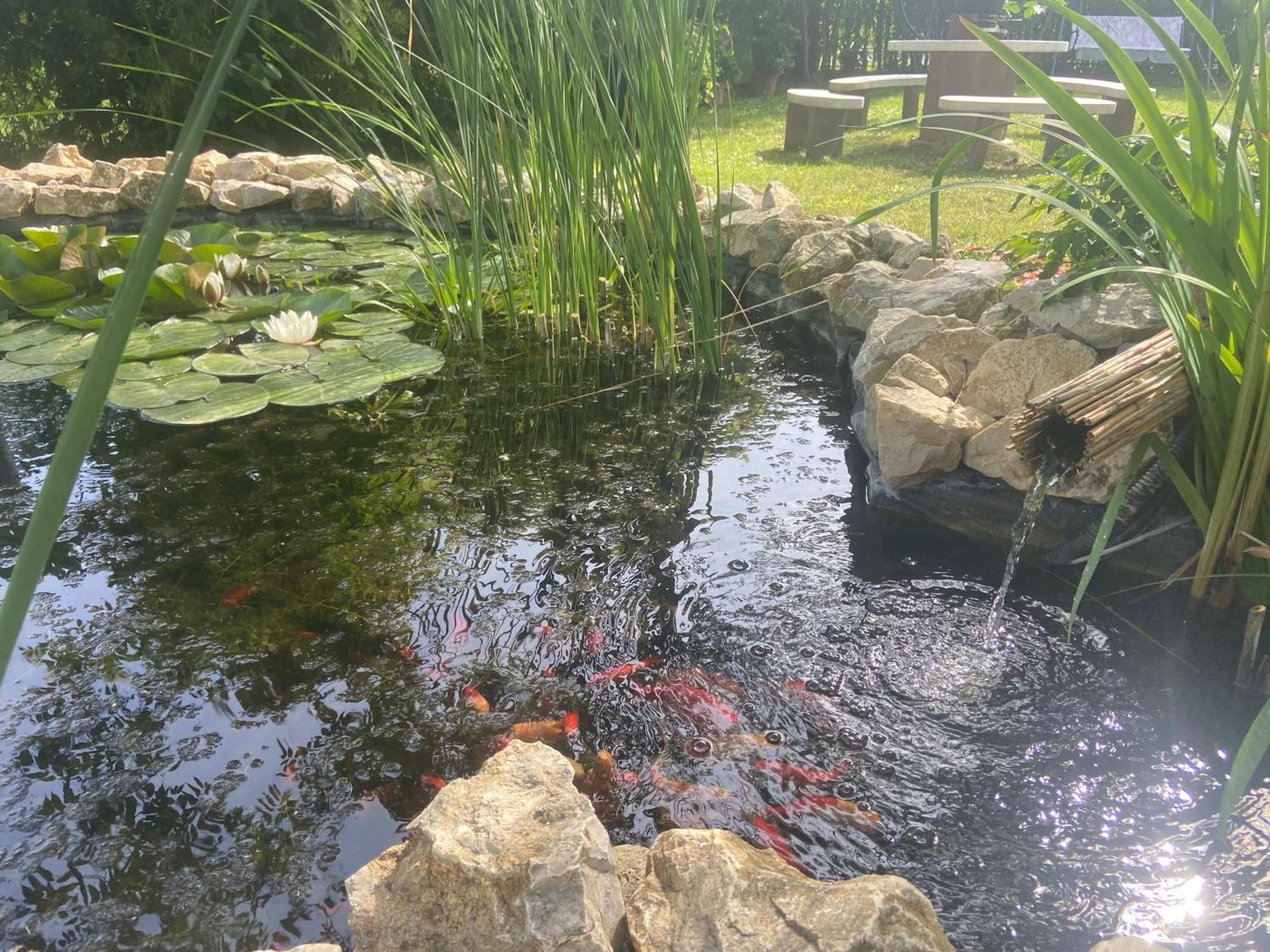 Lelle-Kert Apartman 01 Balatonlelle Esterno foto